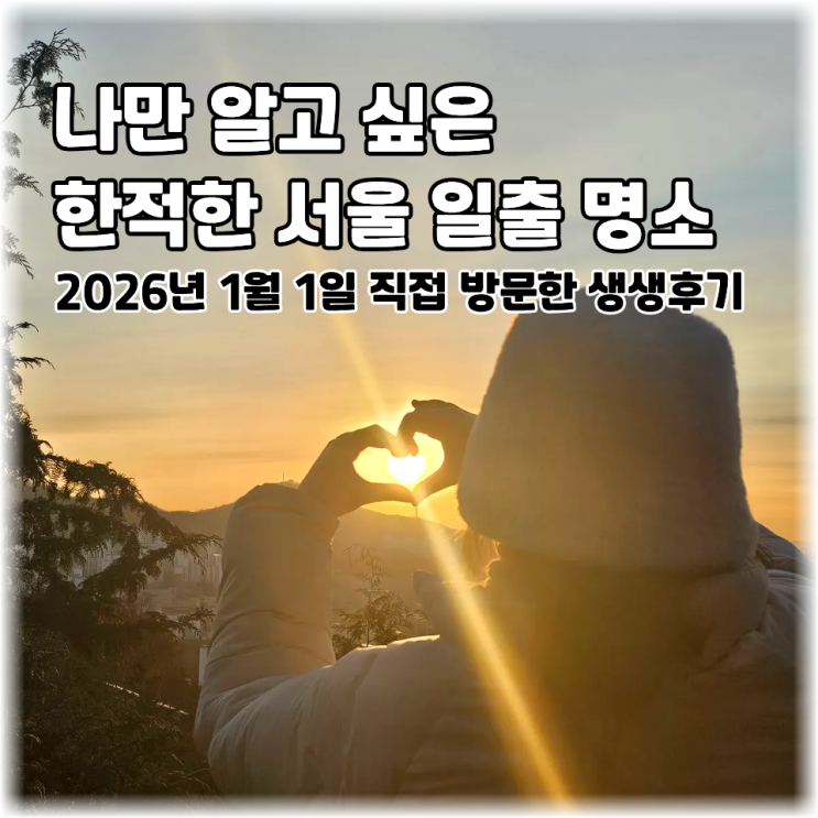  서울 일출 숨은 명소 | 서울 은평구 봉산 편백나무 치유의숲 전망대 후기 (주차, 명당 스팟 가는 법, 준비물 총정리)