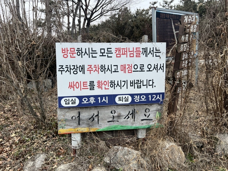 블루마린캠핑장 사진 6