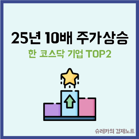  25년 10배 이상 주가가 상승한 코스닥 기업 TOP2