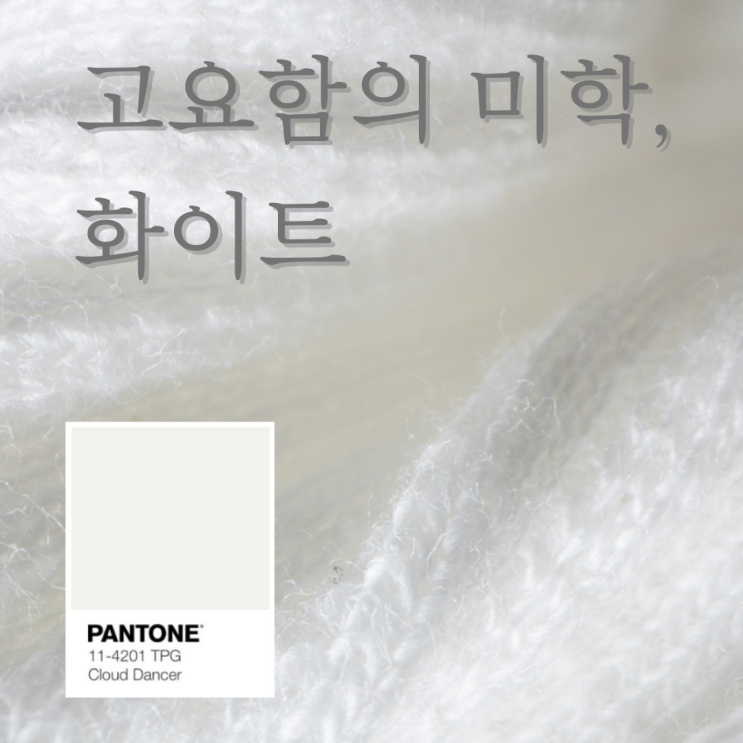  2026 팬톤 컬러 ‘클라우드 댄서(Cloud Dancer)’ 11-4201 | 시각적 미니멀리즘의 선택, 화이트