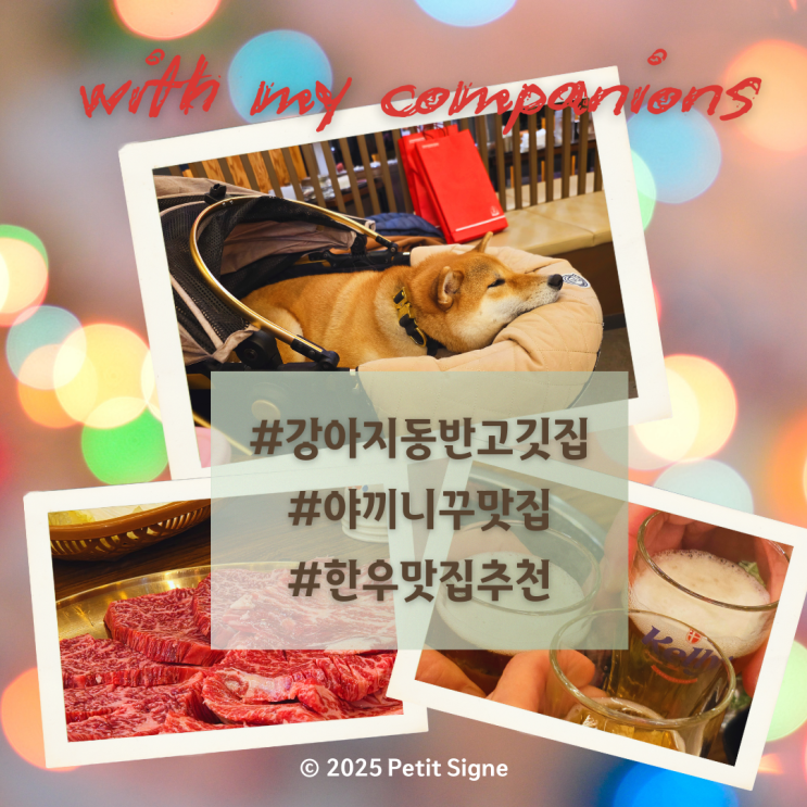  인천 송도 휴그릴, 반려견 동반 송년회, 내돈내산 솔직한 후기