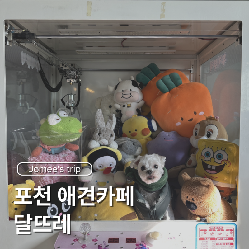 달뜨레