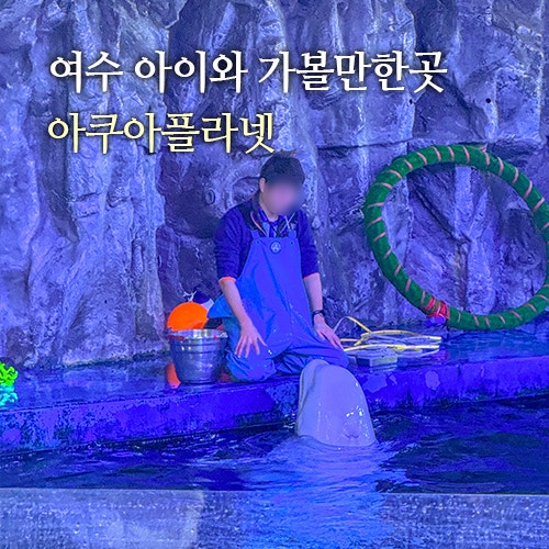 여수 아쿠아플라넷 벨루가쇼 인어쇼 푸드코트 후기