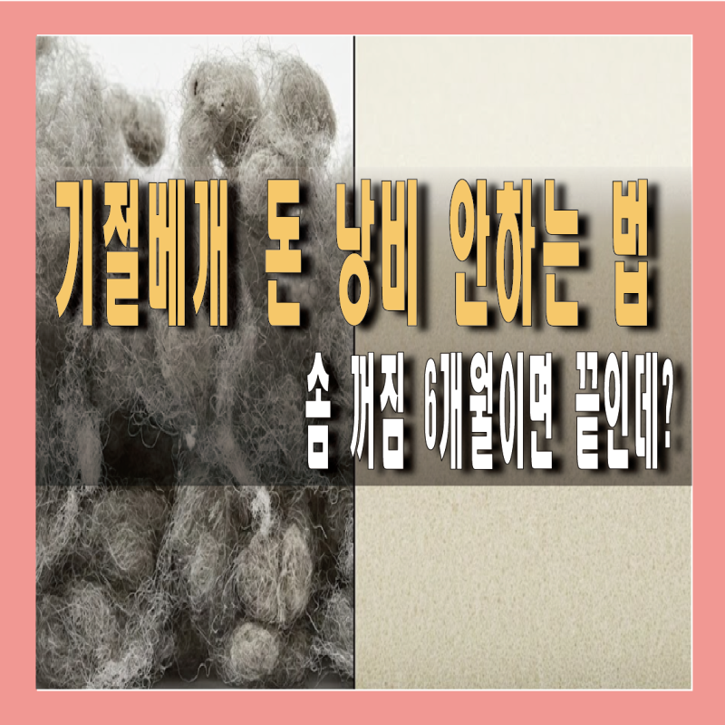 기절베개 수명 6개월이다, 돈 낭비 안 하는 구매 기준