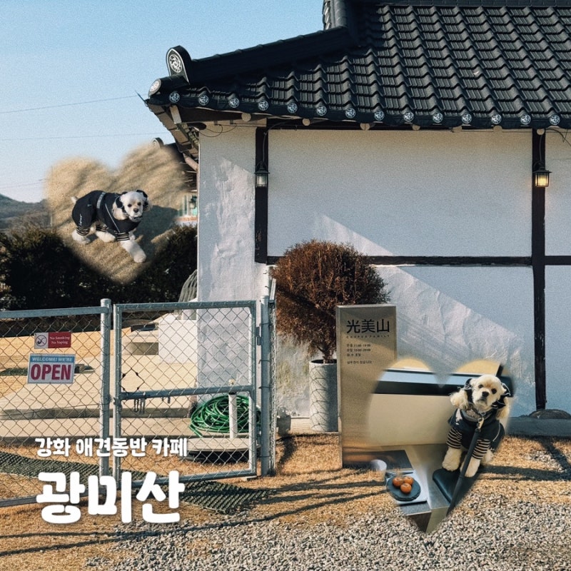 사진 7