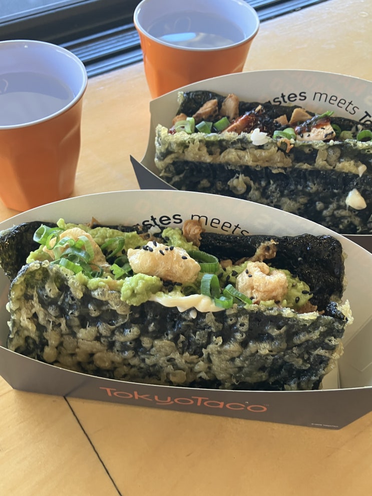  호주 시드니 뉴타운 맛집 도쿄타코 Tokyo taco 시드니대학교 근처맛집