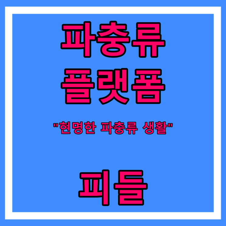  [피들 / 파충류 플랫폼] 현명한 파충류 생활 / 올바른 파충류 문화 / 거래 / 크레스티드게코