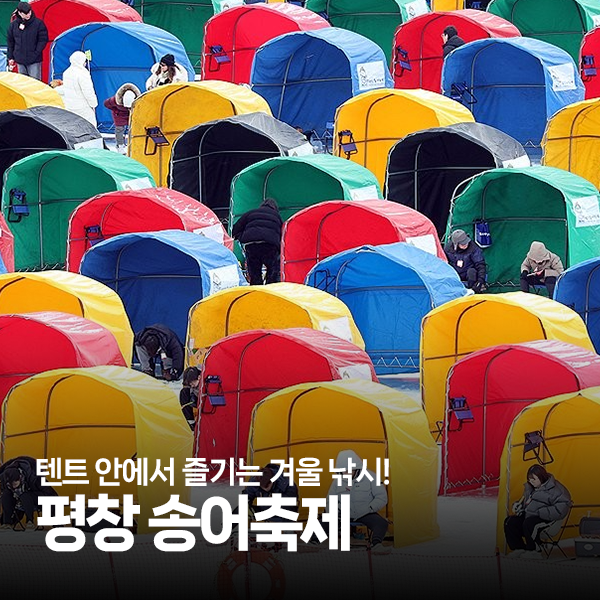 텐트 안에서 즐기는 겨울 낚시! 평창 송어축제 일정 가격