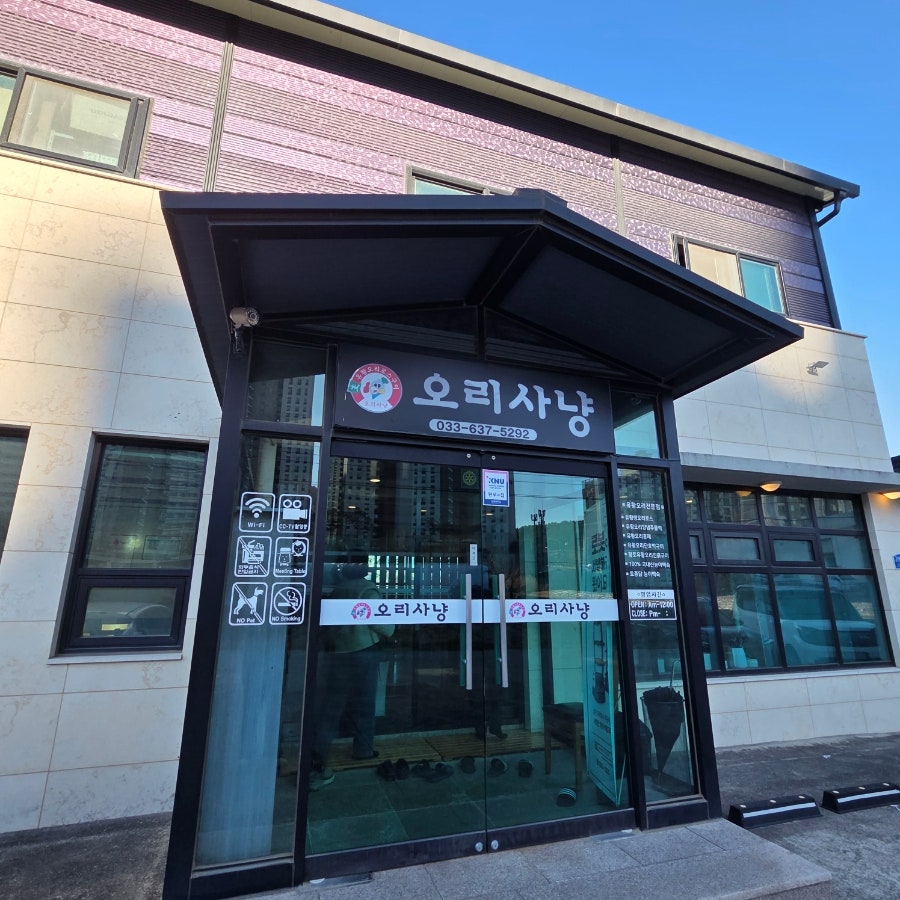 오리사냥 사진 1
