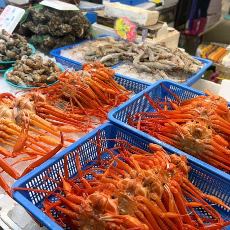  대구 매천수산시장 영업시간 주차 시세 회포장 후기