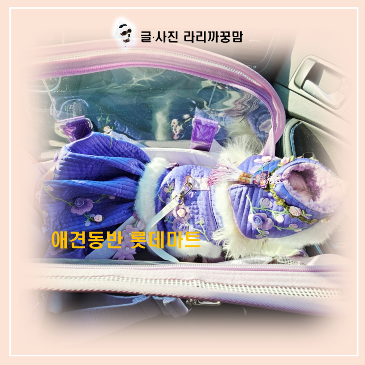  5kg 이하 소형견 동반가능 롯데마트 평택점 장보기