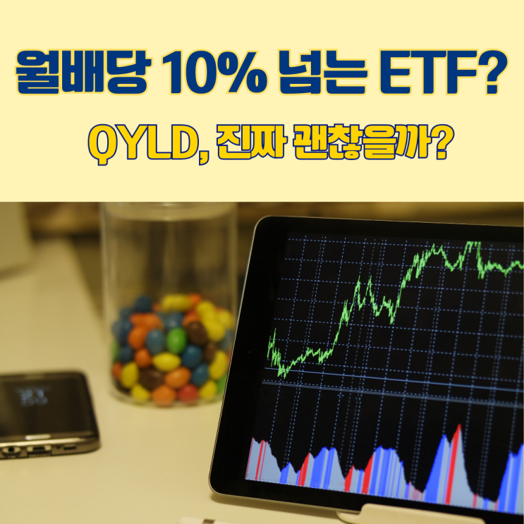  미국 월배당 ETF QYLD, 배당률 10%의 진실 장점 단점 정리