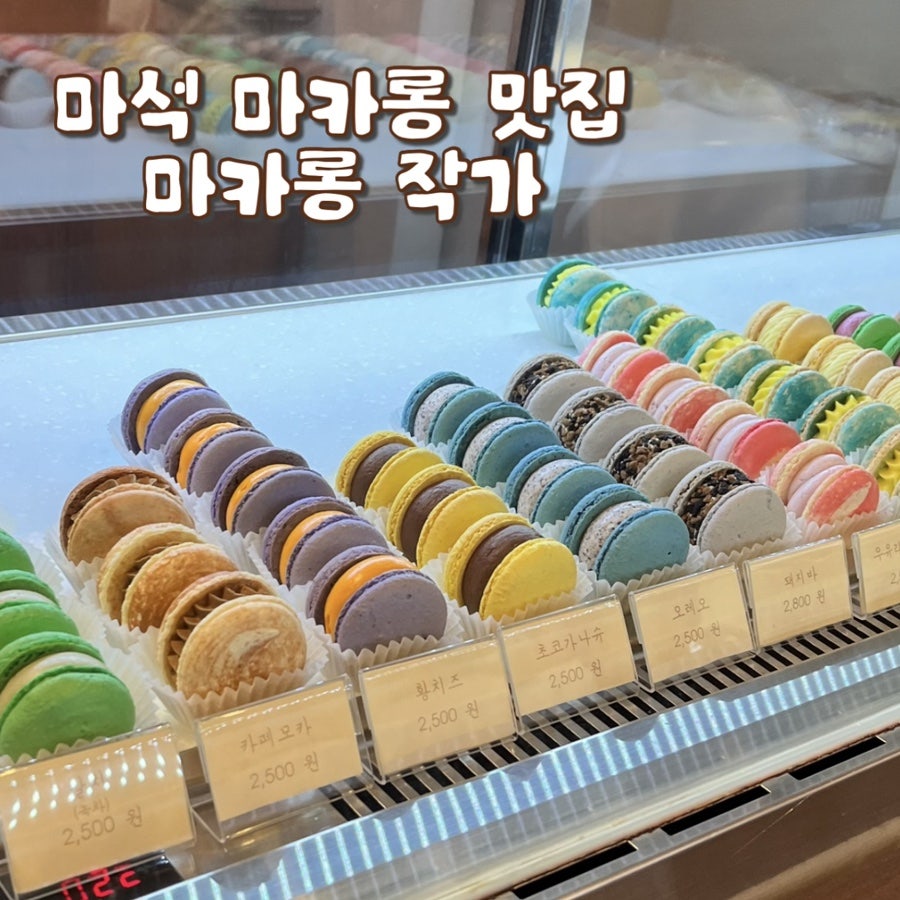 마카롱작가 사진 1