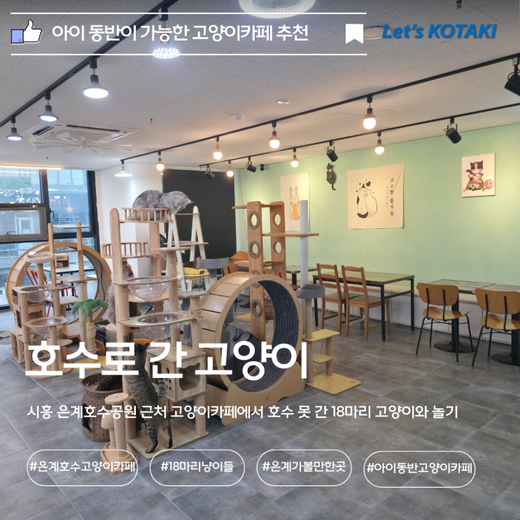  은계호수 고양이카페 추천 | 호수로 간 고양이