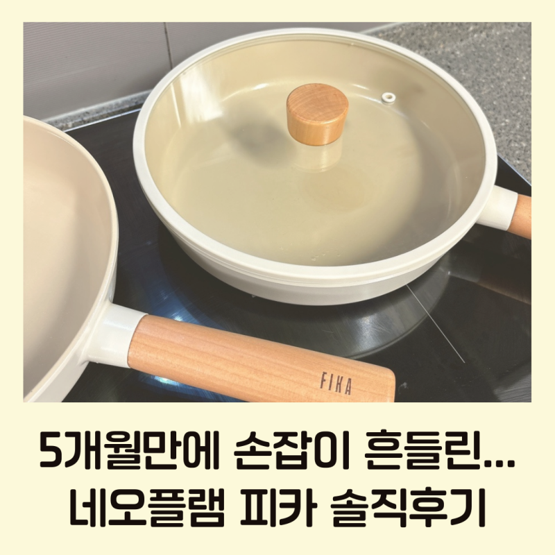 네오플램 피카 솔직 후기 | 5개월 만에 손잡이가 흔들림