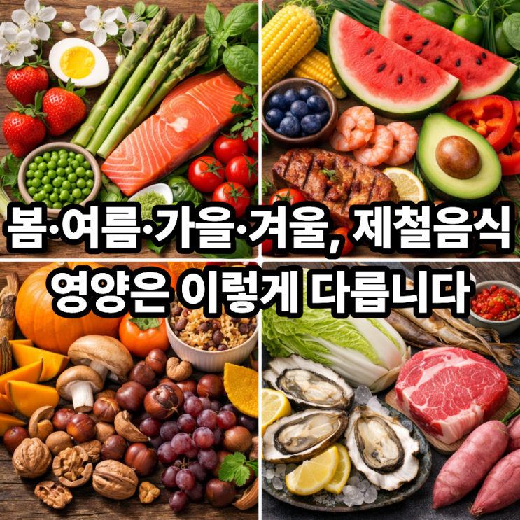   계절별 제철음식 영양소 비교｜봄·여름·가을·겨울, 무엇이 다를까?