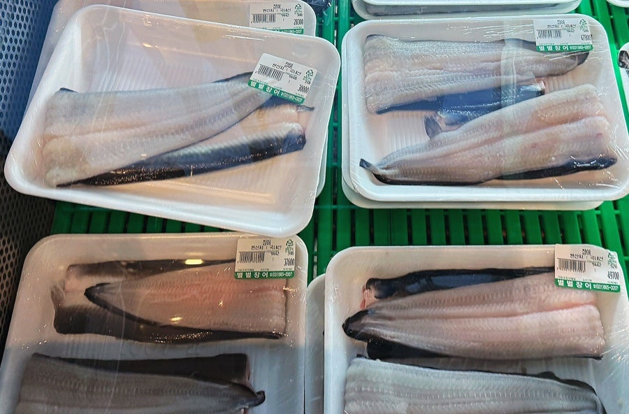별별장어 사진 1