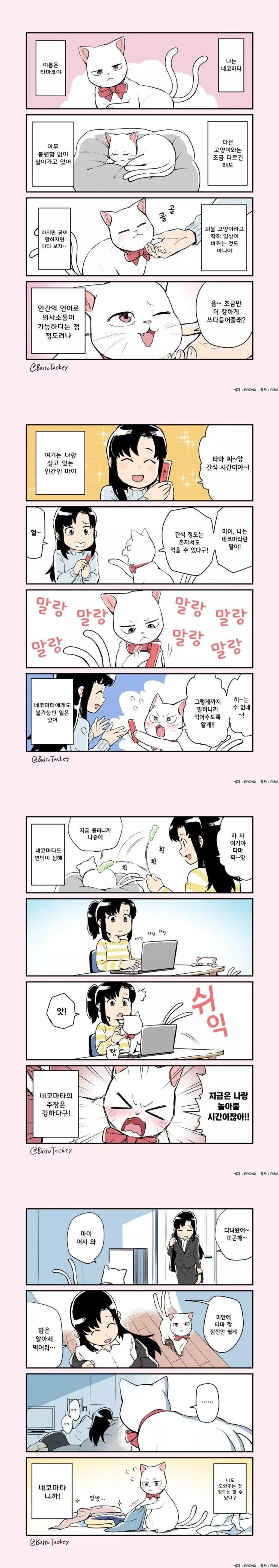  꼬리 둘 달린 고양이.manhwa