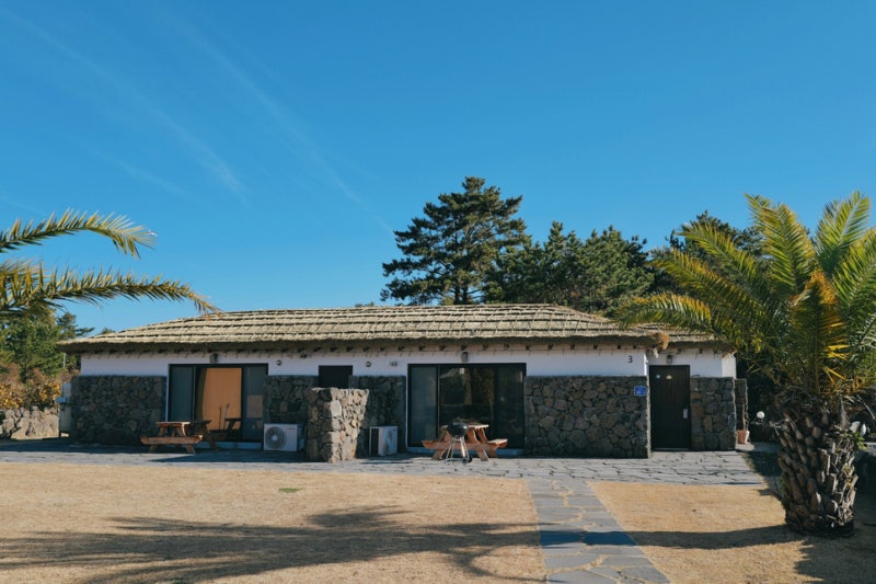 사진 3