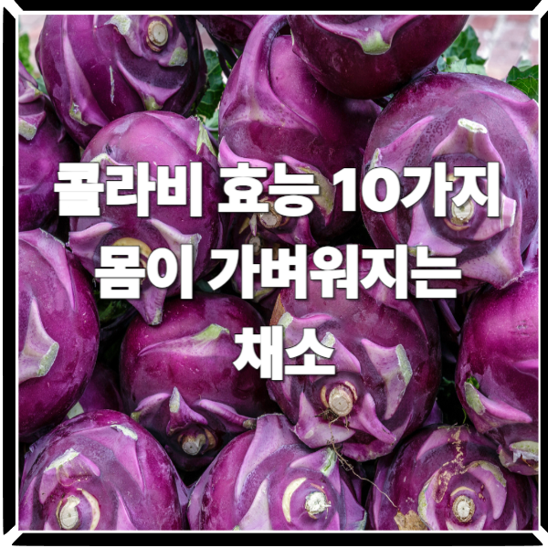  콜라비 효능 10가지｜몸이 가벼워지는 채소