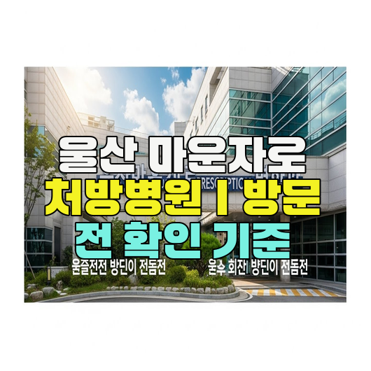  울산 마운자로 처방병원｜방문 전 확인 기준