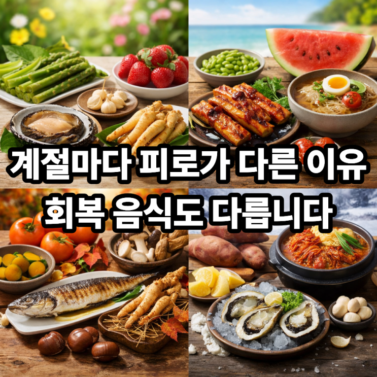   피로 회복에 좋은 제철음식, 봄·여름·가을·겨울 비교｜계절마다 다른 회복 포인트