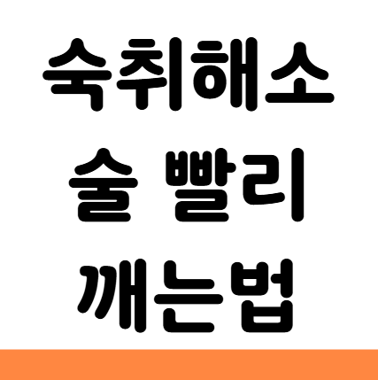  숙취해소 술 빨리 깨는법 좋은 음식