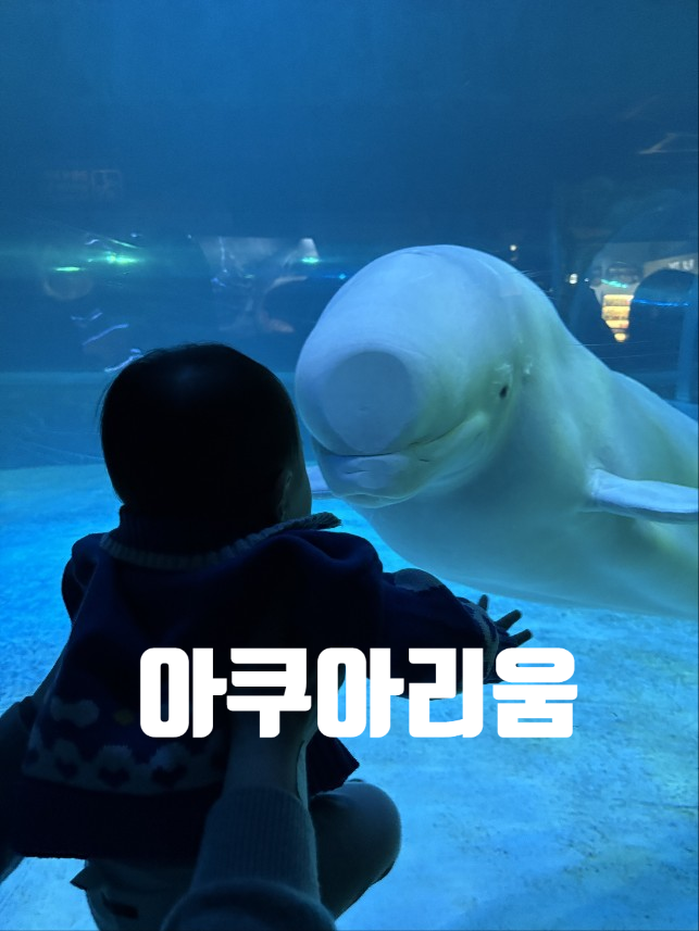  [서울여행] 롯데월드 아쿠아리움