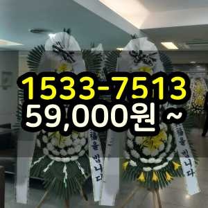 일산 근조화환보내기 장례식꽃