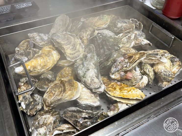  굴 제철 맛집 찾는다면? 군자 굴이짱 광진구에서 제일 유명한 곳, 웨이팅 정보까지!