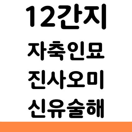  12간지 자축인묘 진사오미 신유술해 순서 동물 띠