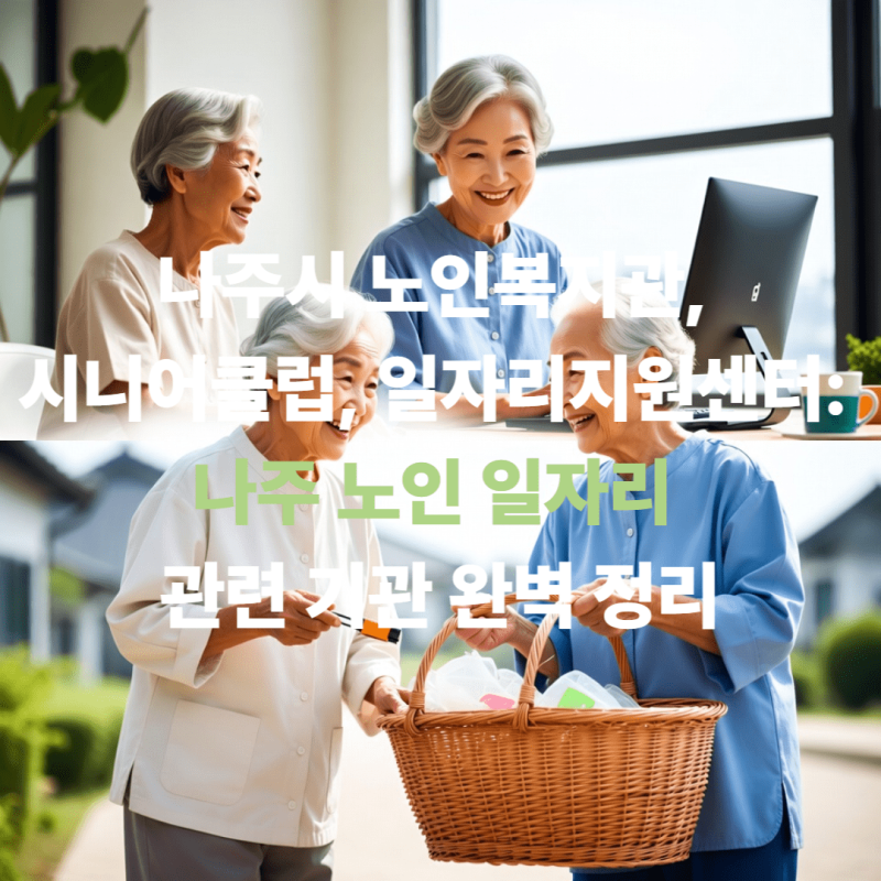 나주시 노인복지관, 시니어 클럽, 일자리 지원센터: 나주 노인 일자리 관련 기관 완벽 정리