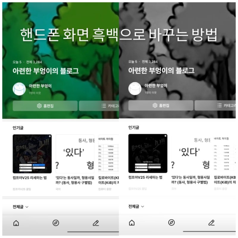 핸드폰 화면 흑백으로 바꾸는 방법