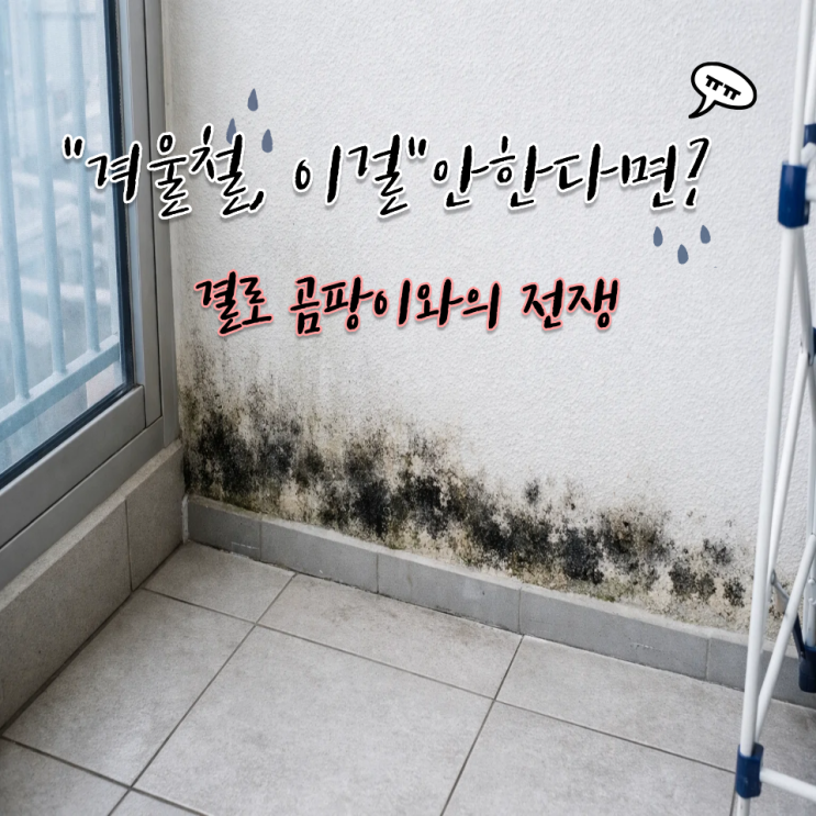  결로 곰팡이 방지 제거 예방 방법 "이걸" 안하면 후회합니다