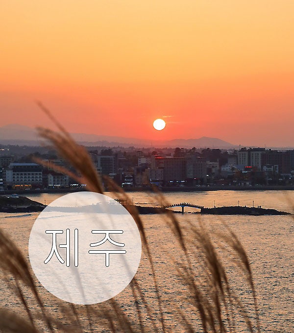 사진 6