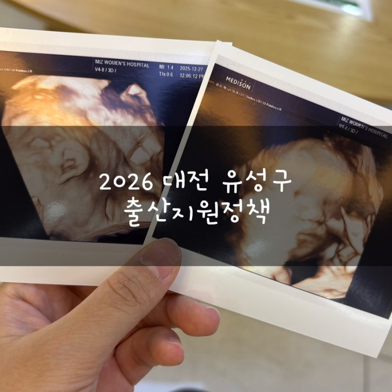대전 유성구 2026 출산지원정책(첫만남이용권, 출산장려금, 대전형 양육기본수당•2세 추가지....