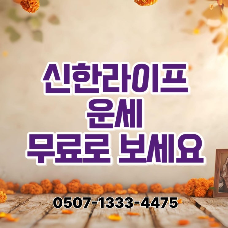  신한라이프 운세 보세요｜2026년 신한생명 무료 사주·신년운세·토정비결 찐후기, 다들 ‘대비’부터 하는 이유