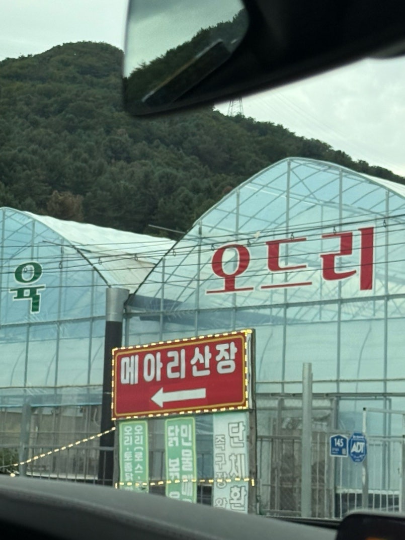 메아리산장 사진 3