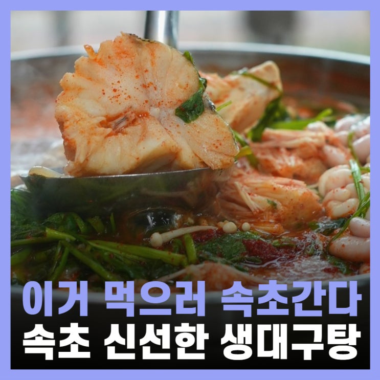  속초 아침식사 맛집 물곰탕 전문 대포항 맛집 추천