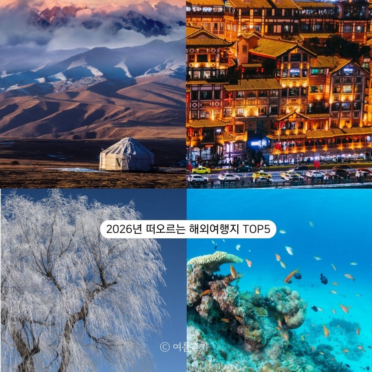  2026년 여행 트렌드 새롭게 떠오르는 해외여행지 TOP 5
