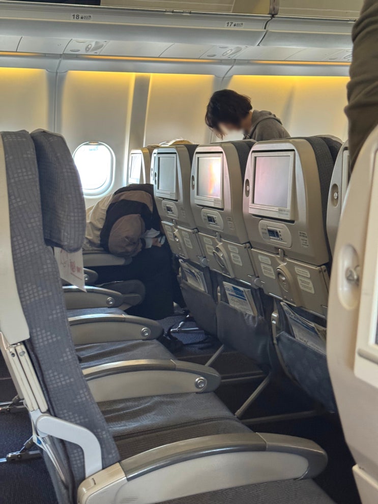  유럽 항공권 티웨이 로마 직항 체크인 좌석 기내식 탑승 후기
