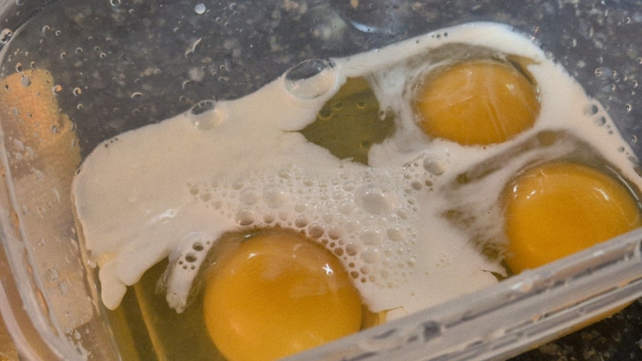 오브네맛이야기 사진 1