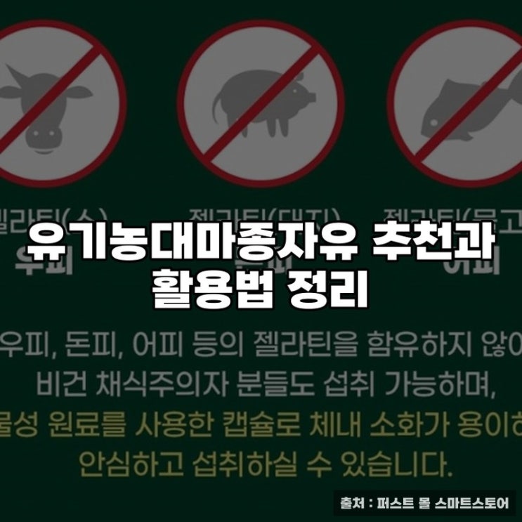  유기농대마종자유 추천과 활용법 정리