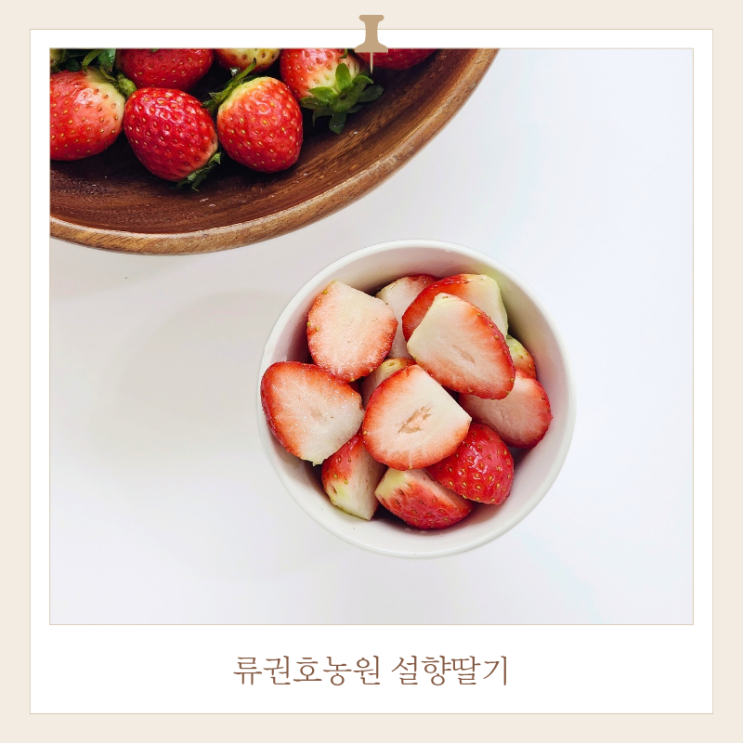  딸기 씻는 방법, 류권호농원 설향딸기 솔직후기