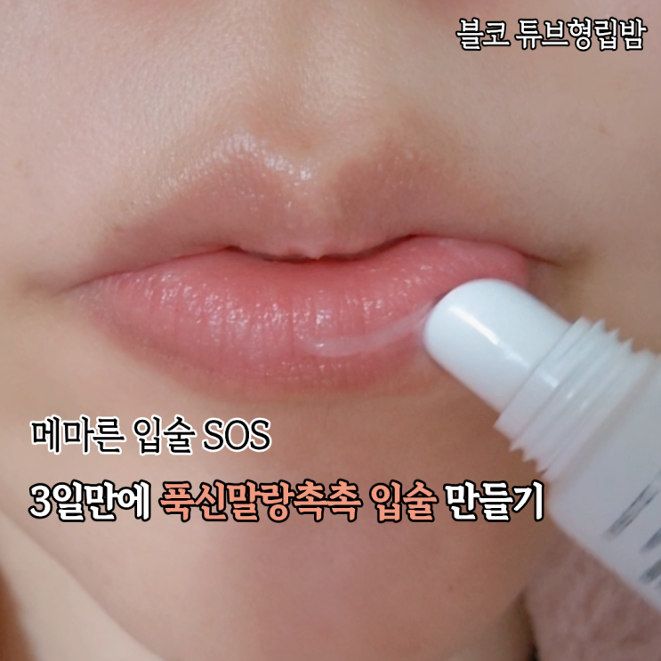 명품 립밤세트 블코 튜브형립밤 기프트세트 뻣뻣한 입술에 써본 후기