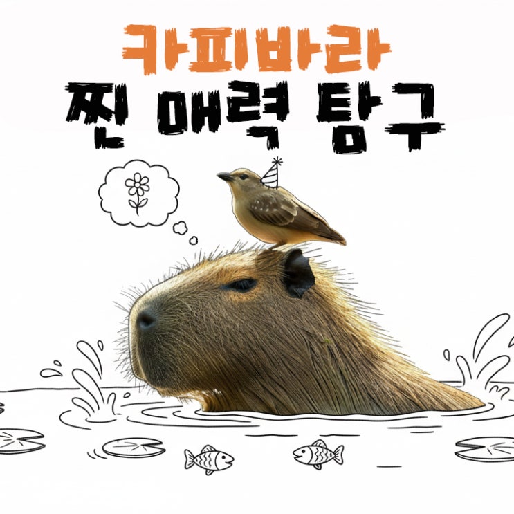  왜 다들 카피바라에 빠질까? 가장 온순한 동물의 진짜 매력