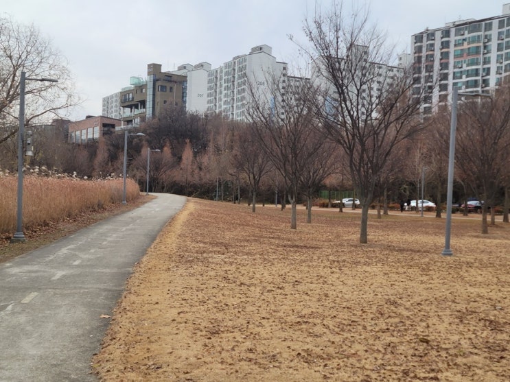 베개 세탁 주기와 방법, 생각보다 중요한 이유