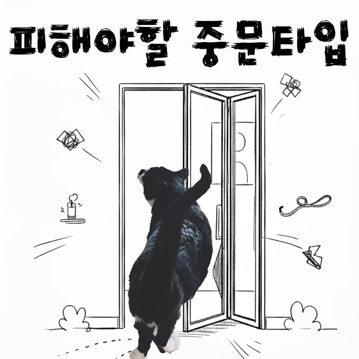  고양이집 절대 피해야할 중문타입 5가지