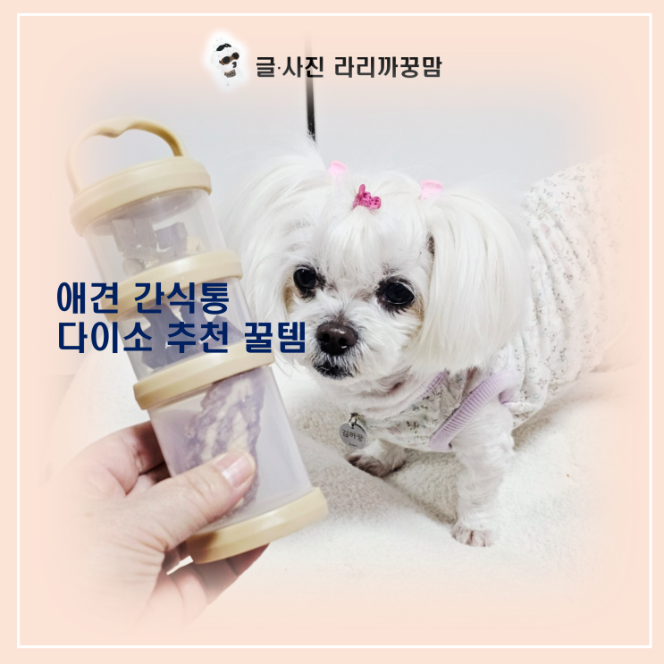  단돈 1,000원! 다이소 캠핑 양념통이 견생 애견간식통 된 사연