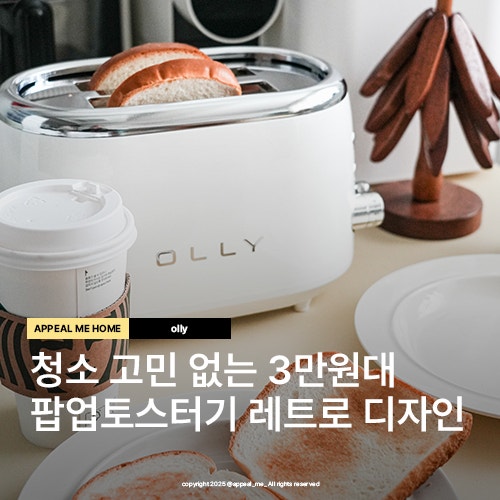  팝업 가정용 식빵 토스터기 청소 쉬운 올리 가성비 3만원대 브런치 토스트기